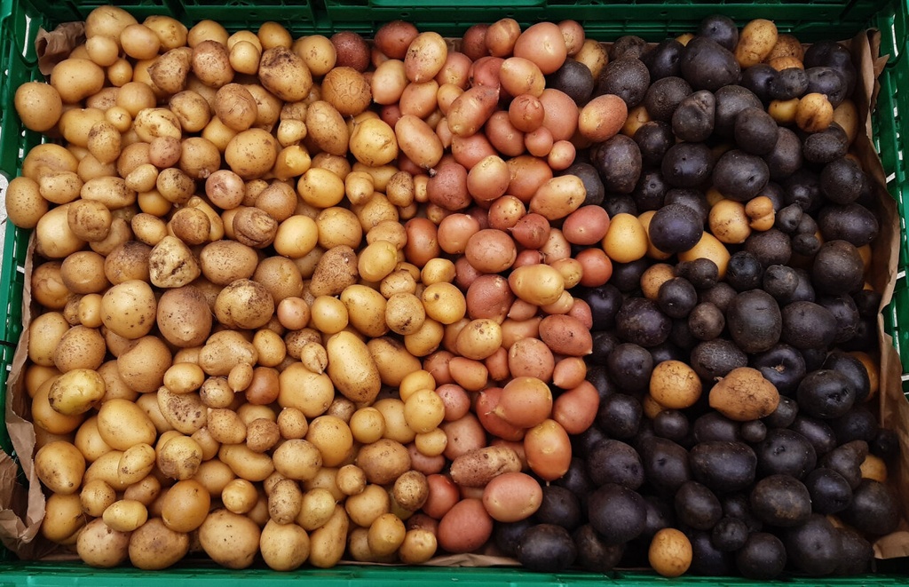 BABY POTATOES MIXED - MINI PDT MIXTES 