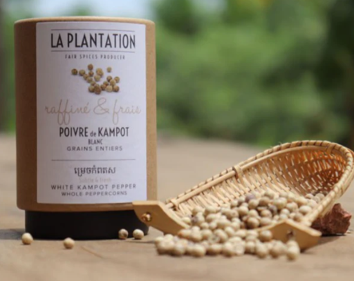 [PLANTATION03] KAMPOT PEPPER WHITE - 50GR POIVRE KAMPOT BLANC - 50GR