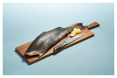 [FZFISH04-KG] BLACK COD FROZEN - KG MORUE CHARBONNIERE - KG