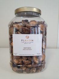 [PLANTIN05] DRY  SHITAKE TRICHOLOMOPIS EDADES SHITAKES SECS TRICHOLOMOPIS EDADES