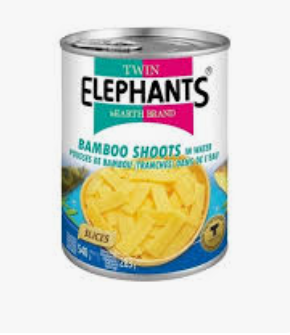 BAMBOO SHOOTS, 540GR POUSSE DE BAMBOU, 540G