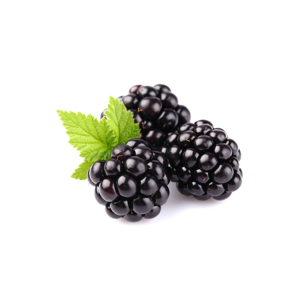 BLACKBERRY - PUNNET MURE - BARQUETTE