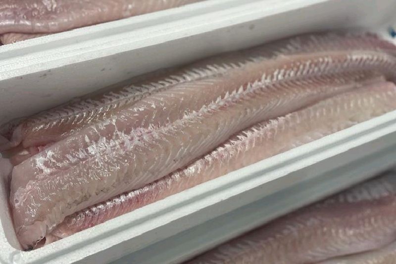 BLUE LING WHITE FISH FILLET – FILET DE LINGUE BLEUE